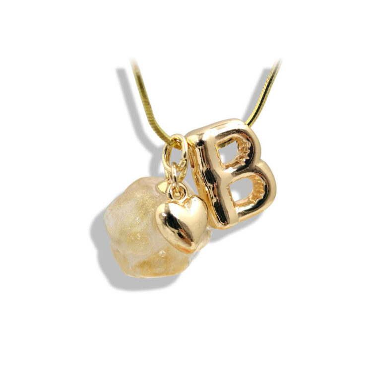 Paw Print Heart Initial Necklace - 图片 2